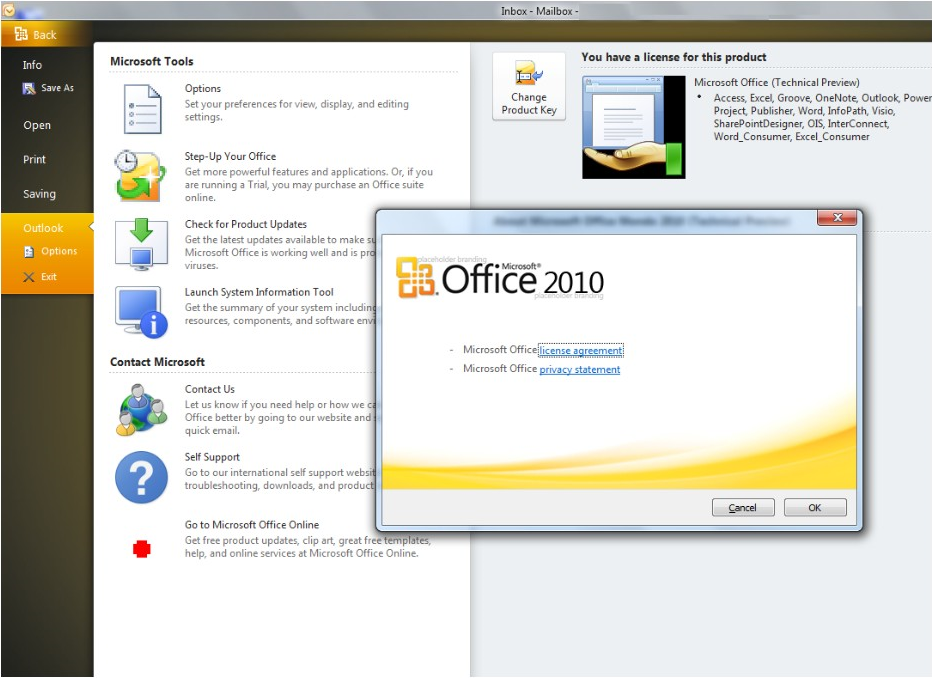 Office 2010 Download Professional Plus